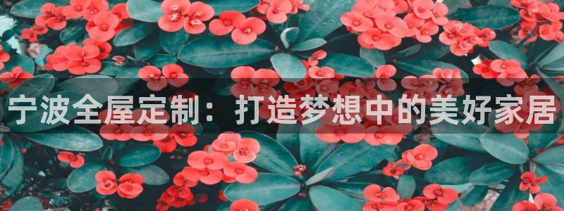 BB电子锁怎么接电