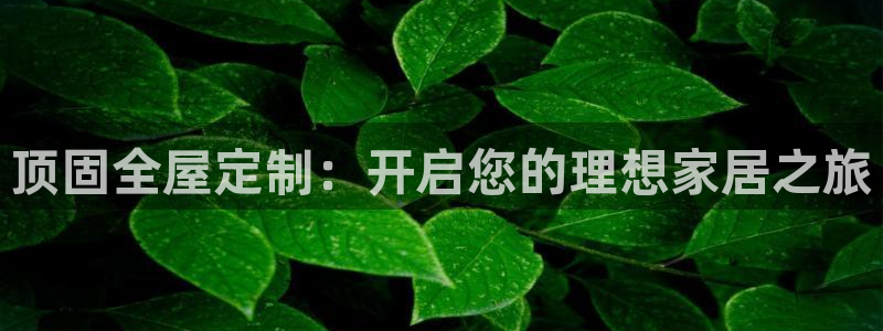 bb电子教育平台