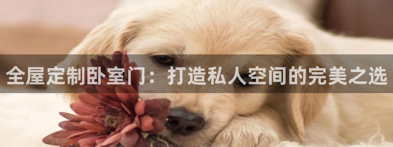 bb电子哪个平台好用点