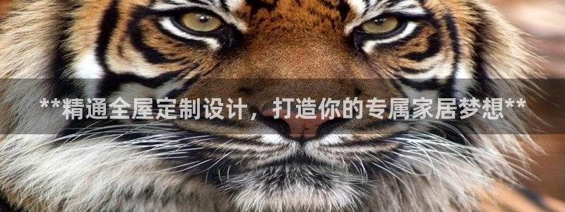 bb电子游戏娱乐平台