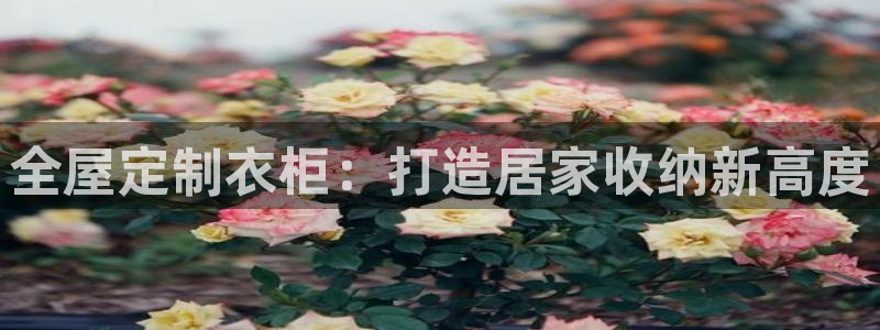 bb电子掉彩金