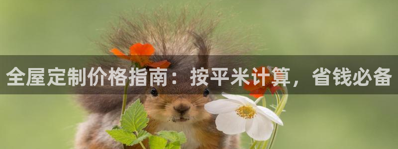 bb电子哪个平台好用