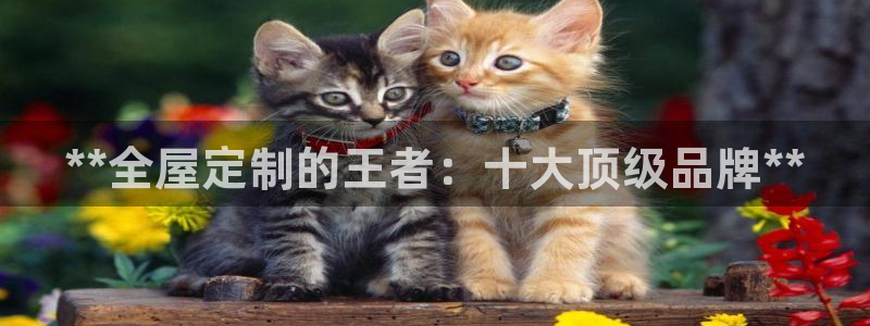 BB电子连环夺宝