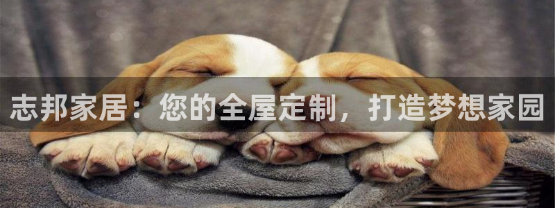 网上bb电子为什么那么假的