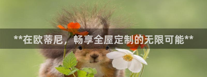 网上bb电子为什么那么假