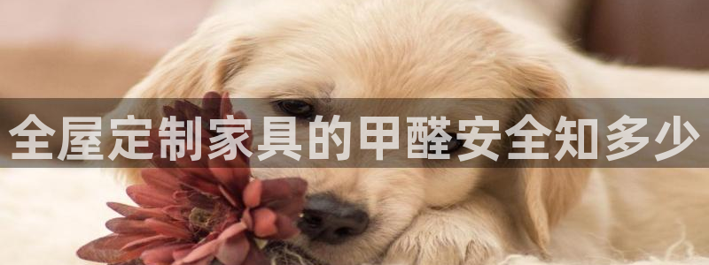 bb电子哪个平台好用