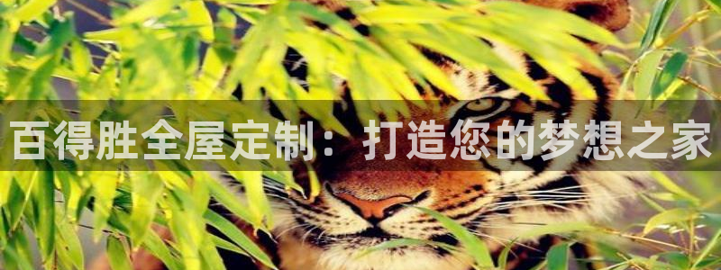 bb电子什么游戏好赢