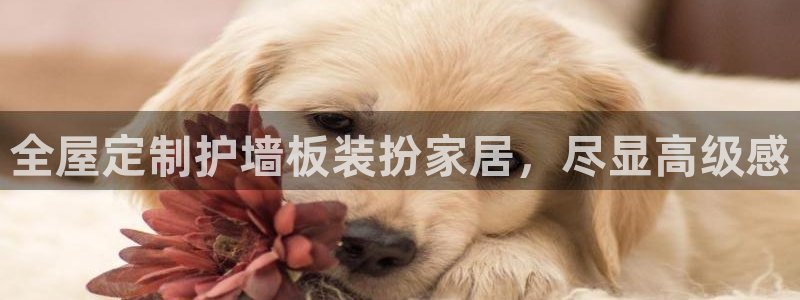 BB电子开户