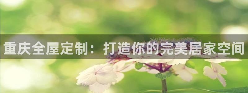 bb电子哪个平台好点
