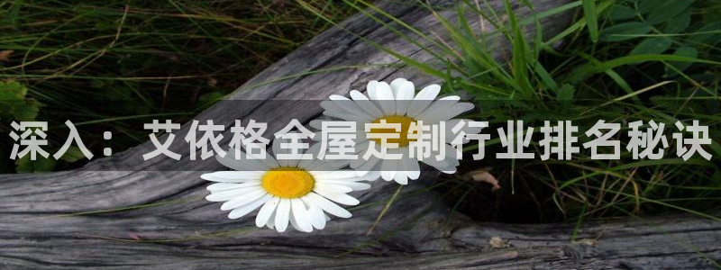 bb电子哪个平台好用