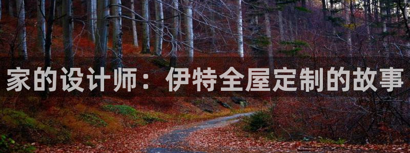 bb电子哪个平台好啊
