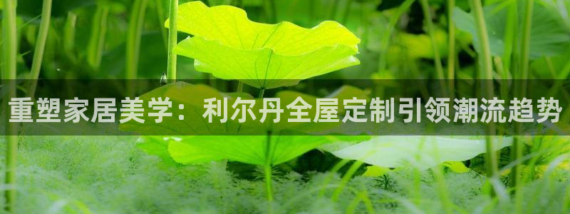 bb电子糖果哪个网站好mg官方电子平台